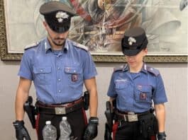 Nettuno scoperto in un boschetto laboratorio per lo spaccio di cocaina, arrestato 36enne