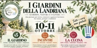 In Libera Uscita 29